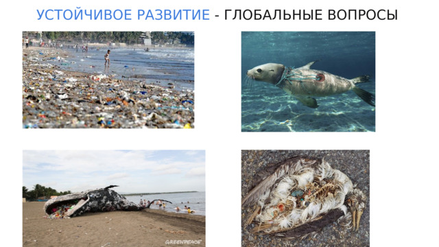 УСТОЙЧИВОЕ  РАЗВИТИЕ - ГЛОБАЛЬНЫЕ ВОПРОСЫ 