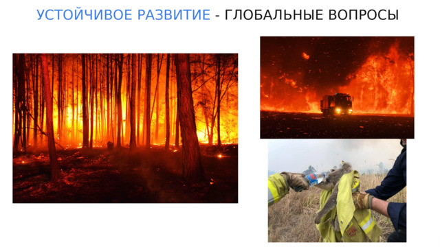 УСТОЙЧИВОЕ  РАЗВИТИЕ - ГЛОБАЛЬНЫЕ ВОПРОСЫ 
