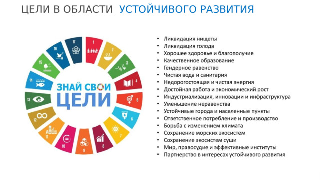 ЦЕЛИ В ОБЛАСТИ УСТОЙЧИВОГО РАЗВИТИЯ 