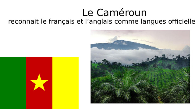  Le Caméroun   reconnait le français et l’anglais comme langues officielles. 