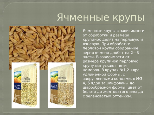 Ячменные крупы Ячменные крупы в зависимости от обработки и размера крупинок делят на перловую и ячневую. При обработке перловой крупы ободранное зерно ячменя дробят на 2—3 части. В зависимости от размера крупинок перловую крупу выпускают пяти номеров. В крупах №1,2 ядра удлиненной формы, с закругленными концами, в №3, 4, 5 ядра зашлифованы до шарообразной формы; цвет от белого до желтоватого иногда с зеленоватым оттенком. 