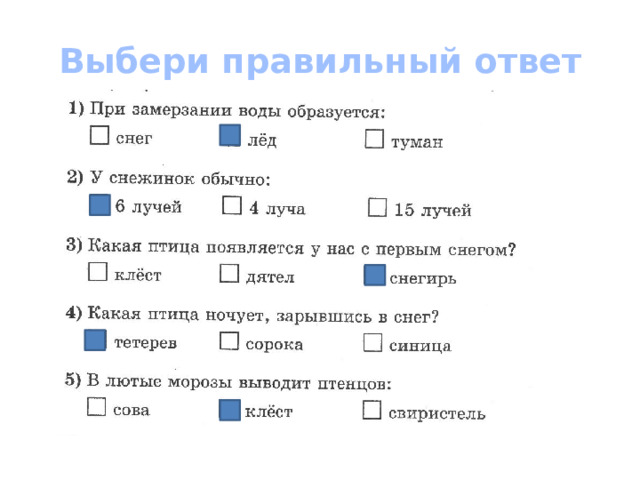 Выбери правильный ответ 