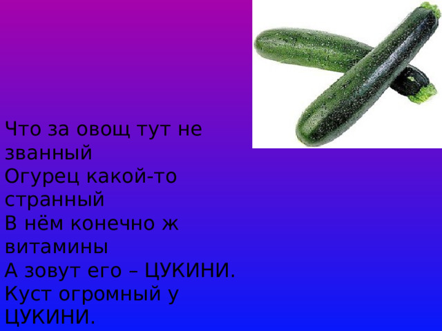 Что за овощ тут не званный  Огурец какой-то странный  В нём конечно ж витамины  А зовут его – ЦУКИНИ.  Куст огромный у ЦУКИНИ.  Мы наполнили корзины  Сварим суп, сварим икру  И начнем опять игру.   