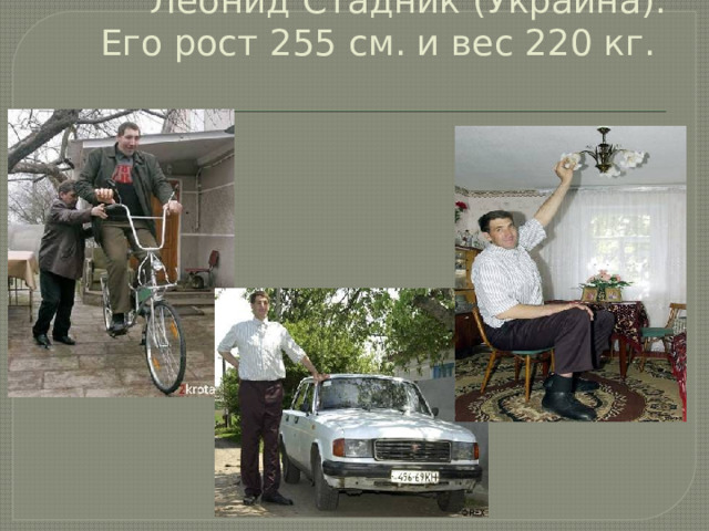 Леонид Стадник (Украина).  Его рост 255 см. и вес 220 кг.   