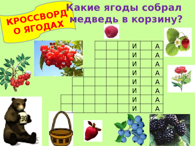 Какие ягоды собрал  медведь в корзину?  КРОССВОРД О ЯГОДАХ  И И А И И А А И И А А И А И А А 