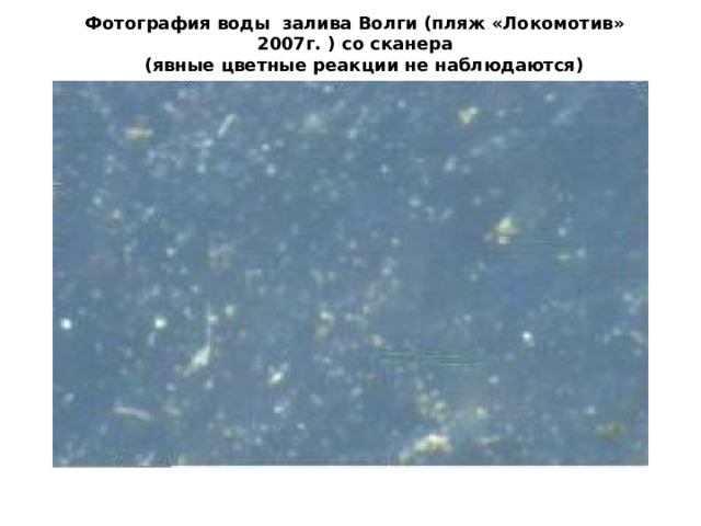 Фотография воды залива Волги (пляж «Локомотив» 2007г. ) со сканера  (явные цветные реакции не наблюдаются) 