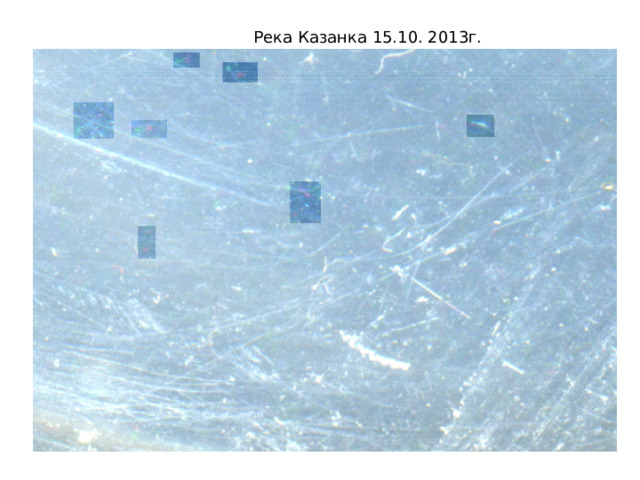  Река Казанка 15.10. 2013г. 