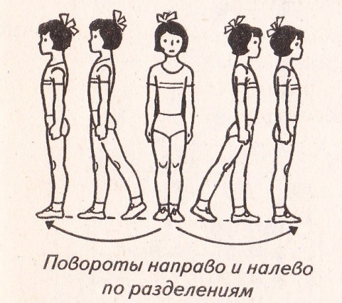 Правое и левое движение. Поворот направо налево по разделениям. Повороты на месте физкультура. Повороты по разделениям. Повороты направо и налево на физкультуре.