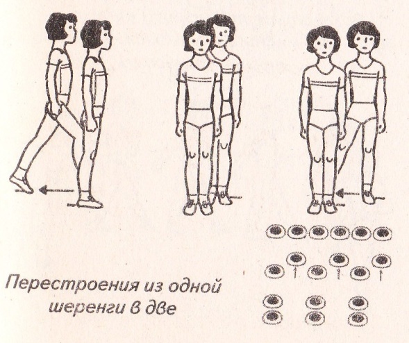 Перестроение из одной шеренги в две схема