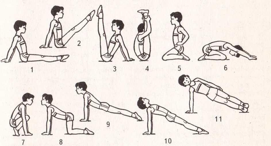 Картинки упражнений по гимнастике