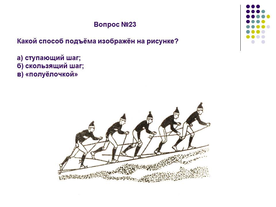 Какой способ изображен на рисунке. Задания по лыжной подготовке. Вопросы по лыжной подготовке. Лыжная подготовка задания по физкультуре. Тест по физкультуре лыжная подготовка.