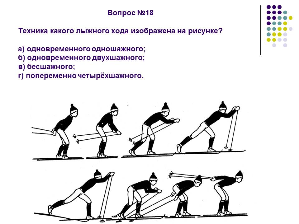 Определите в каком ответе каждому лыжному ходу соответствует свой рисунок