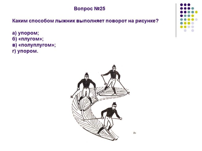 Положения лыжника в начале и в конце какой фазы изображены на рисунке