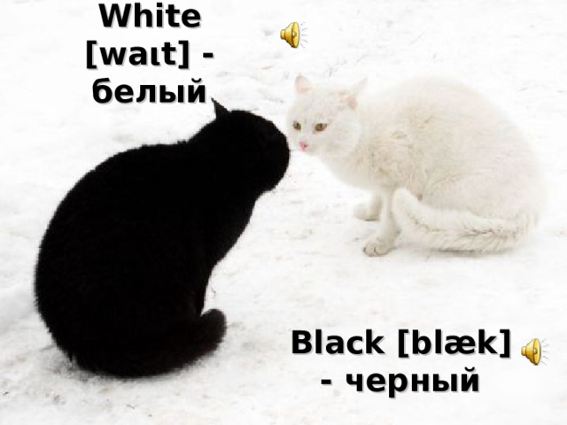White [wa ι t] - белый Black [blæk] - черный 