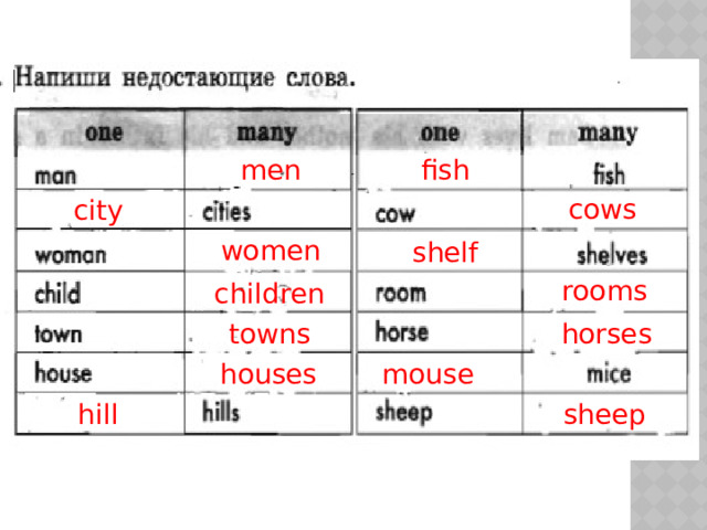 men fish cows city women shelf rooms children towns horses houses mouse sheep hill 