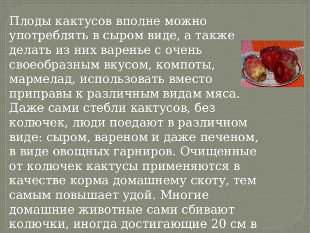 Плоды кактусов вполне можно употреблять в сыром виде, а также делать из них варенье с очень своеобразным вкусом, компоты, мармелад, использовать вместо приправы к различным видам мяса. Даже сами стебли кактусов, без колючек, люди поедают в различном виде: сыром, вареном и даже печеном, в виде овощных гарниров. Очищенные от колючек кактусы применяются в качестве корма домашнему скоту, тем самым повышает удой. Многие домашние животные сами сбивают колючки, иногда достигающие 20 см в длину, и поедают сочную мякоть растений. Также семена можно перемалывать в муку. 