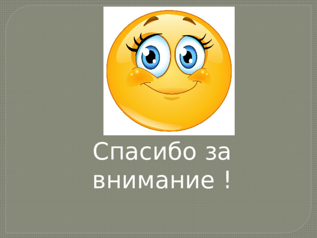 Спасибо за внимание ! 