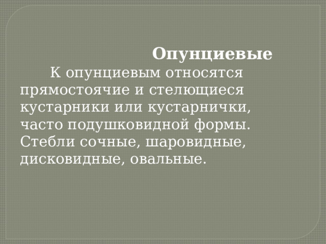  Опунциевые  К опунциевым относятся прямостоячие и стелющиеся кустарники или кустарнички, часто подушковидной формы. Стебли сочные, шаровидные, дисковидные, овальные. 
