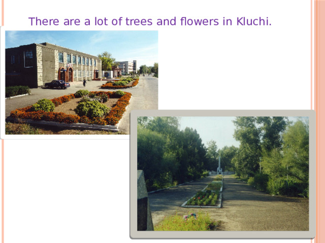 There are a lot of trees and flowers in Kluchi. 