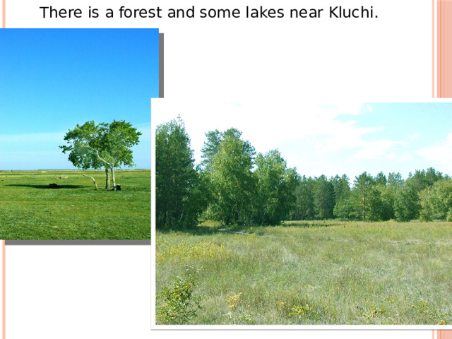 There is a forest and some lakes near Kluchi. 