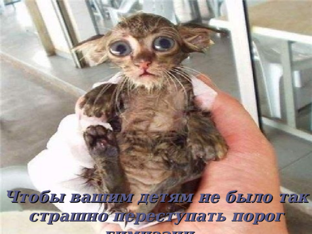 Чтобы вашим детям не было так страшно переступать порог гимназии… 