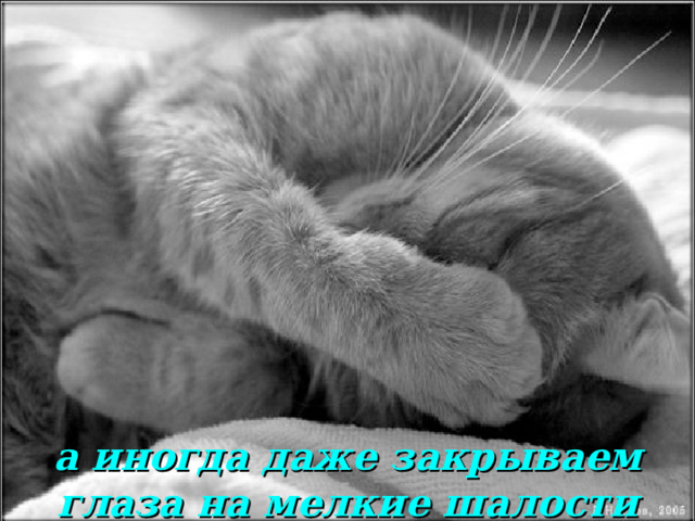 а иногда даже закрываем глаза на мелкие шалости 