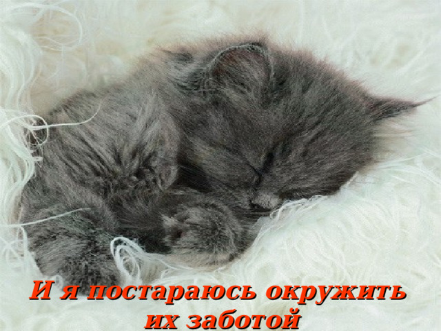 И я постараюсь окружить их заботой 