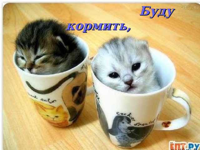  Буду кормить, 