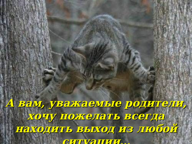 А вам, уважаемые родители, хочу пожелать всегда находить выход из любой ситуации… 