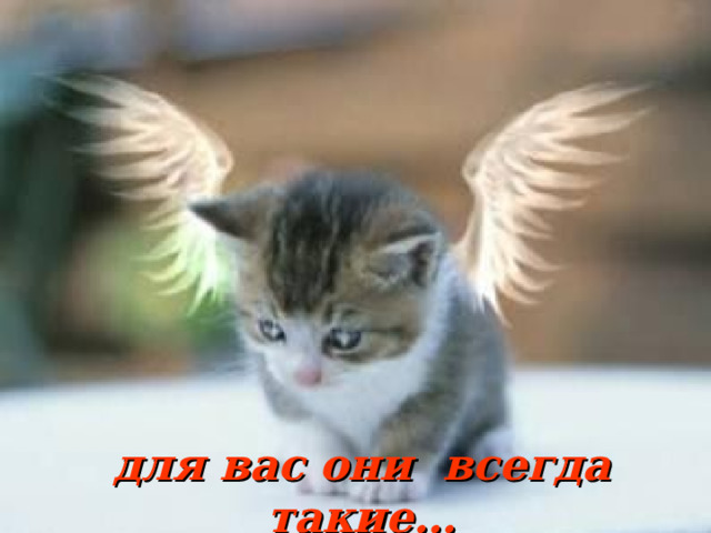 для вас они всегда такие… 