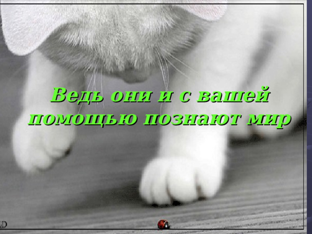 Ведь они и с вашей помощью познают мир 