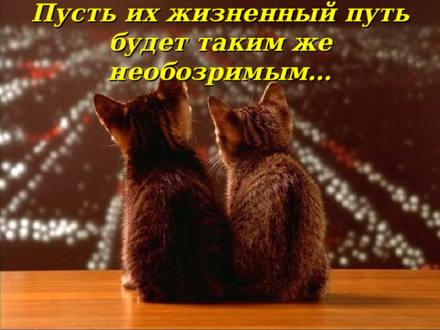 Пусть их жизненный путь будет таким же необозримым… 