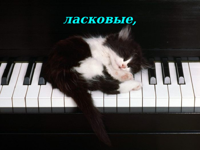 ласковые, 