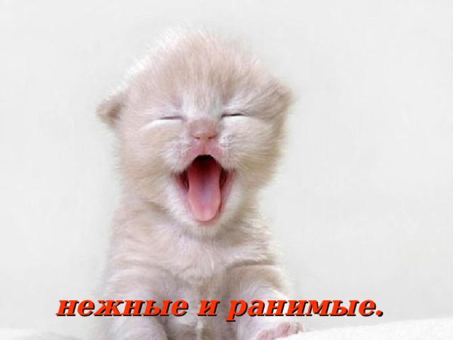 нежные и ранимые. 