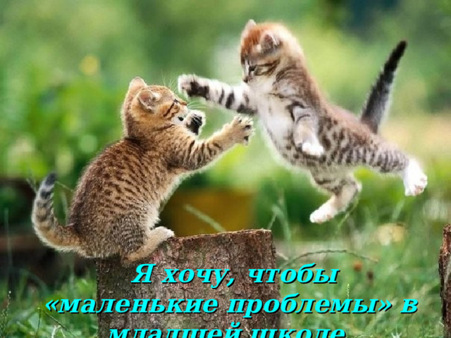  Я хочу, чтобы «маленькие  проблемы» в младшей школе, 