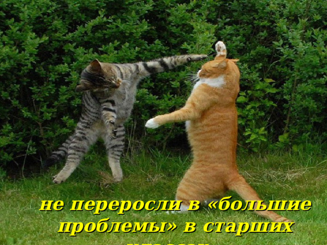 не переросли в «большие проблемы» в старших классах… 