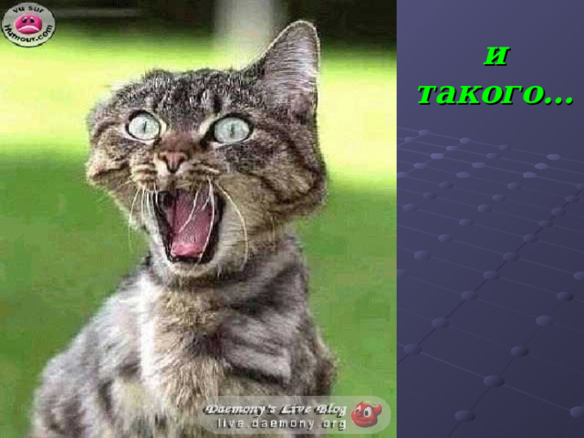 и такого… 