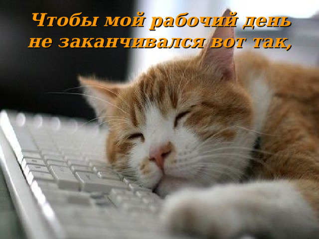 Чтобы мой рабочий день не заканчивался вот так, 