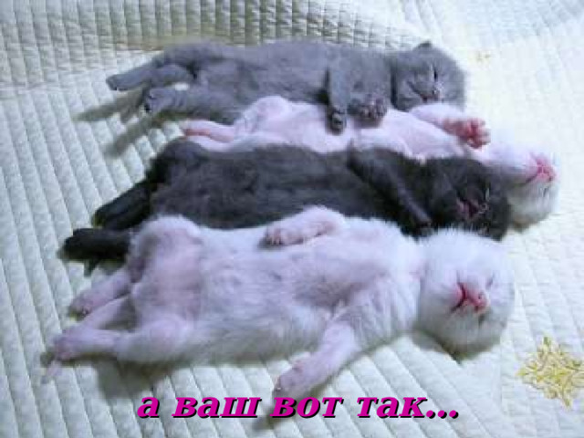 а ваш вот так… 