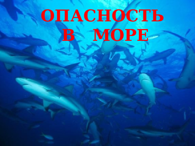 Опасность  в море 