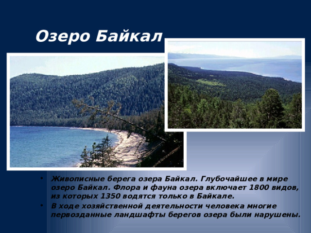 Озеро Байкал Живописные берега озера Байкал. Глубочайшее в мире озеро Байкал. Флора и фауна озера включает 1800 видов, из которых 1350 водятся только в Байкале. В ходе хозяйственной деятельности человека многие первозданные ландшафты берегов озера были нарушены.  