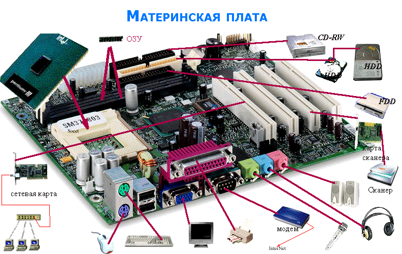 Сетевая карта куда вставлять для компьютера