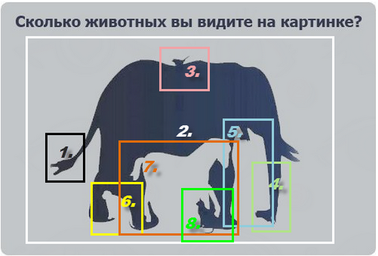 Сколько животных вы видите на картинке со слоном ответ