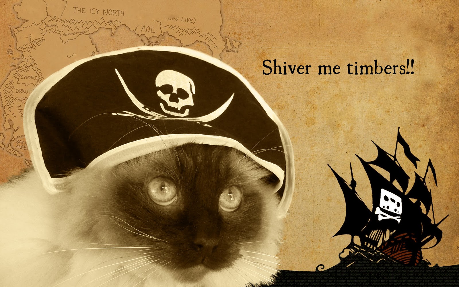 Pirate nation. Happy Meow Day. День «мяукай, как пират» (National Meow like a Pirate Day) — США.