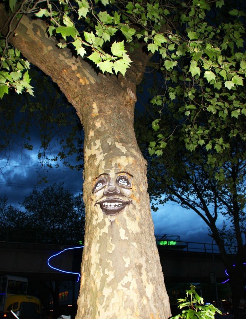 Дерево с лицом