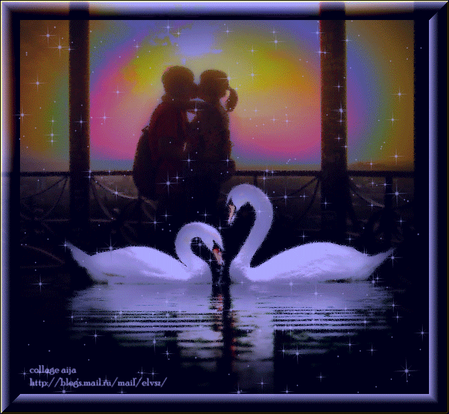 Верность вечная. Любовь и лебеди. Влюбленные лебеди. Спокойной ночи с лебедями в ночи. Лебеди романтика.