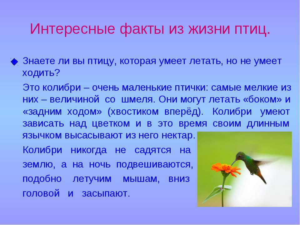 25 главных фактов об охране природы 2022 года