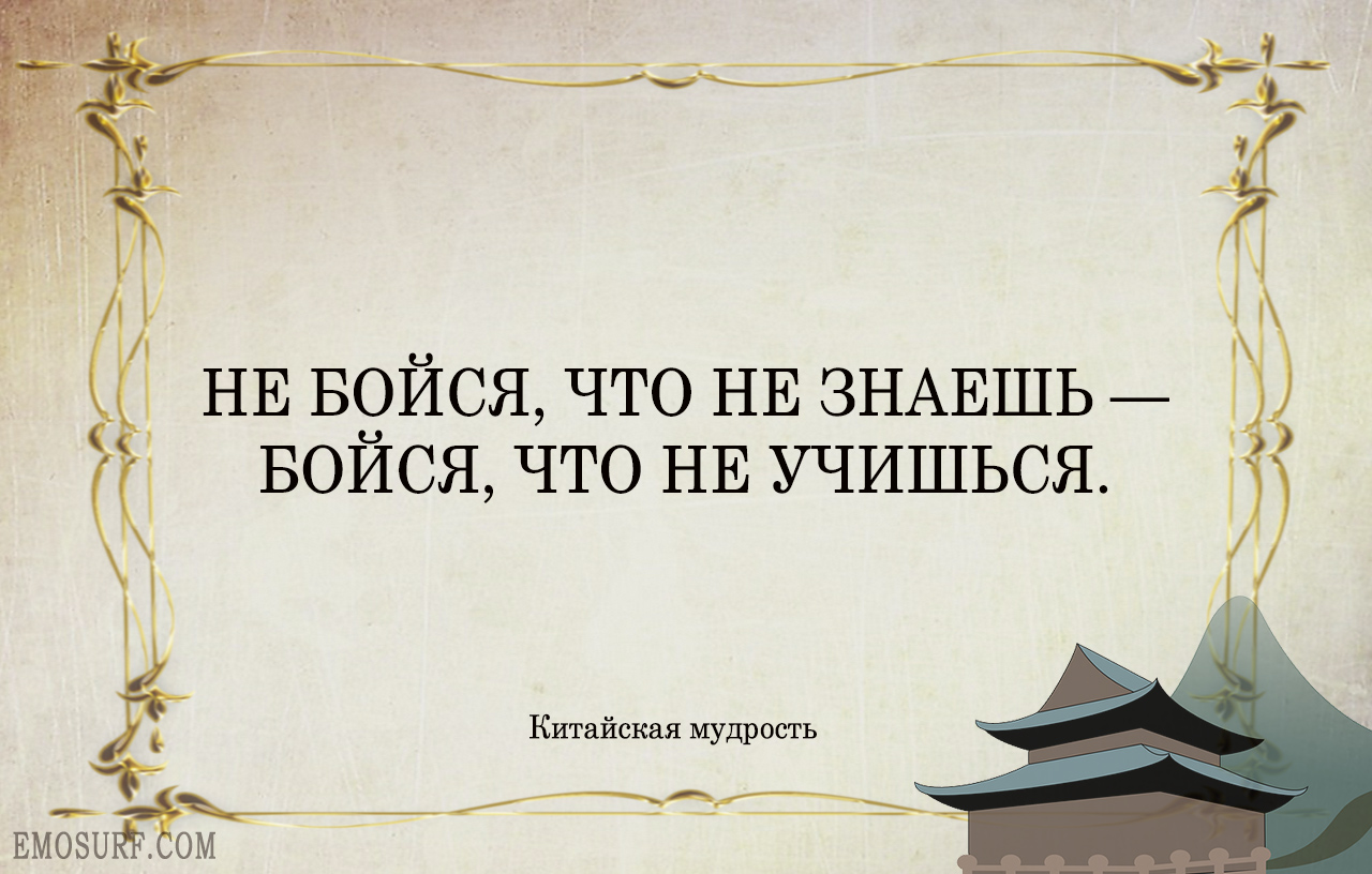 Учиться нужно всю жизнь. Цитаты про учение. Высказывания об учении. Высказывания про учебу. Цитаты про учебу.