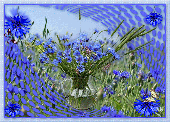 Picture background