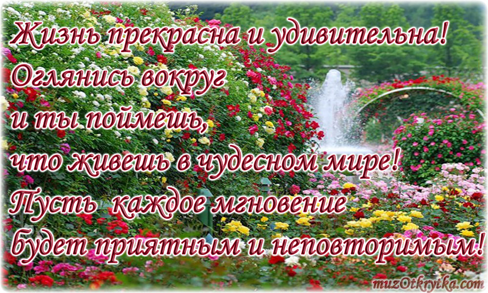 Жизнь просто прекрасна. Жизнь прекрасна. Открытки жизнь прекрасна и удивительна. Жизнь прекрасна и удивительна. Жизнь прекрасна и удивительна цитаты.